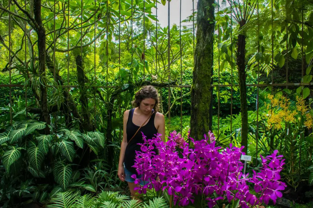 Natalie in the Orchid Garden in Singapore