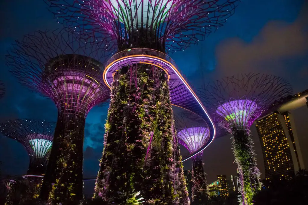 The Super Trees of Singapore