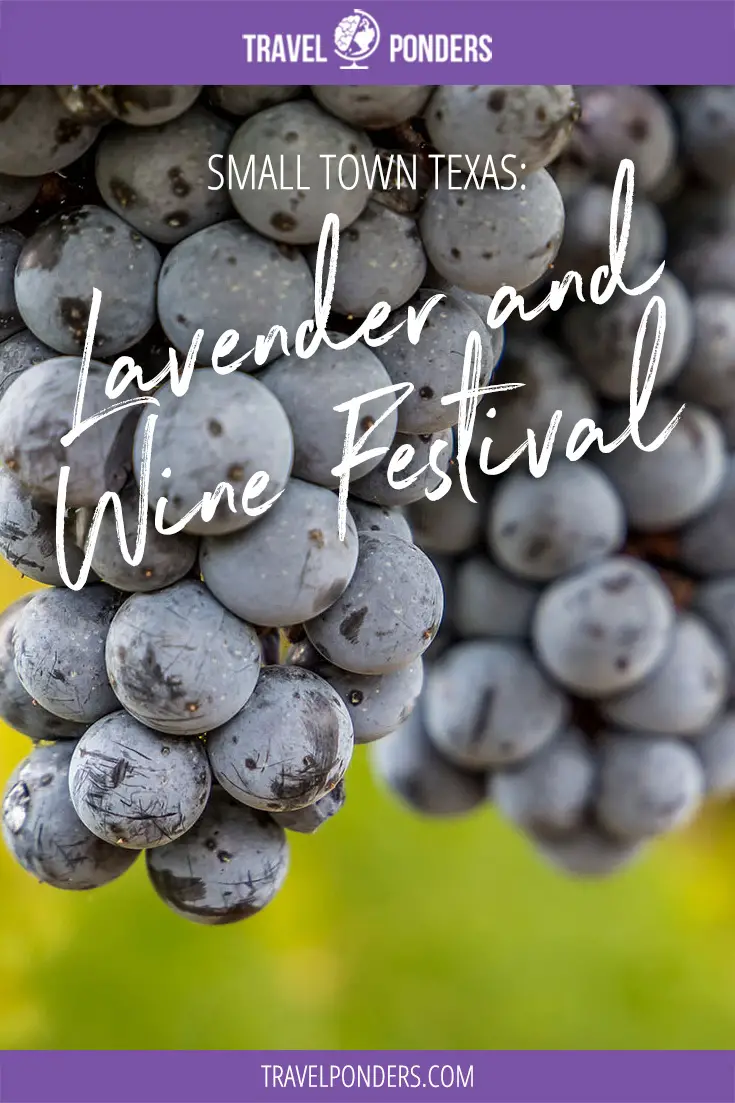 Lavender and Wine Festival