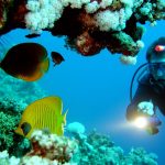 Scuba Dive in Goa