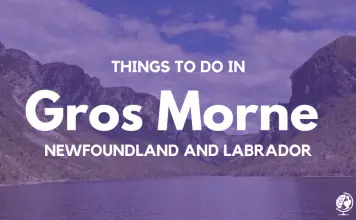 Things to Do In Gros Morne Newfoundland and Labrador - Travel Ponders