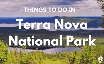Things to do in Terra Nova National Park