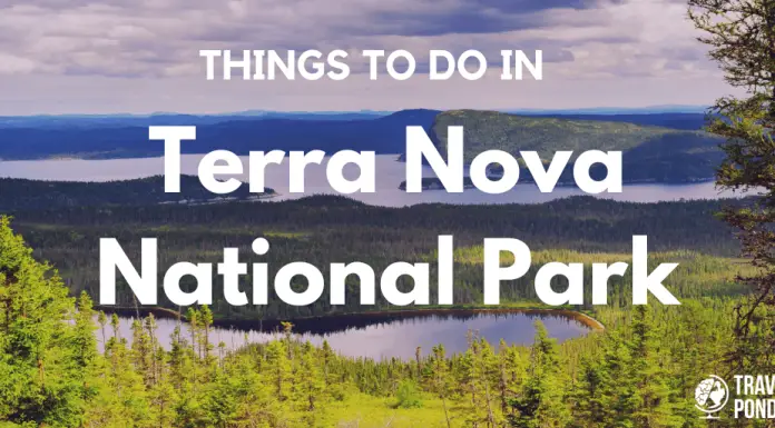 Things to do in Terra Nova National Park